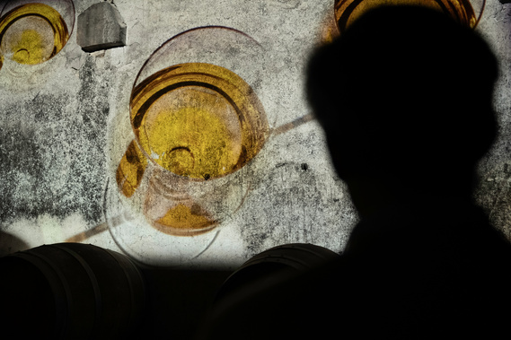 Château Cérons Sauternes wine winery bordeaux bodega france vigne vignoble vineyard grape liquoreux automne fall vigneron wine maker main hands water drop tourism tourisme oenotourisme expérience immersive installation projection sound asmr storytelling