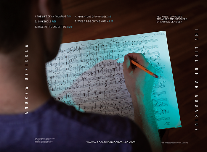 "The Life of an Aquarius" Back Cover