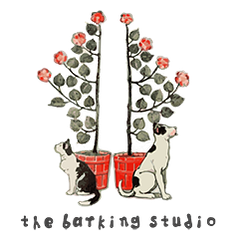 Andra Priboi's Portfolio