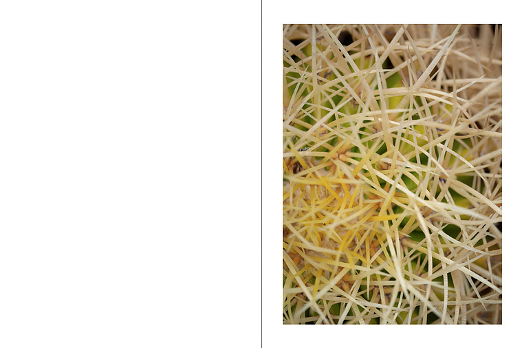 Pascal Hausherr, photographe, A Total Waste of Time, Covid-19, France, 2019-2020