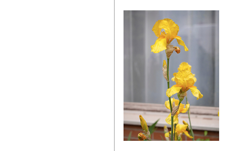 Pascal Hausherr, photographe, A Total Waste of Time, Covid-19, France, 2019-2020