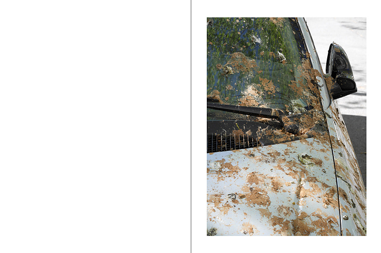 Pascal Hausherr, photographe, A Total Waste of Time, Covid-19, France, 2019-2020