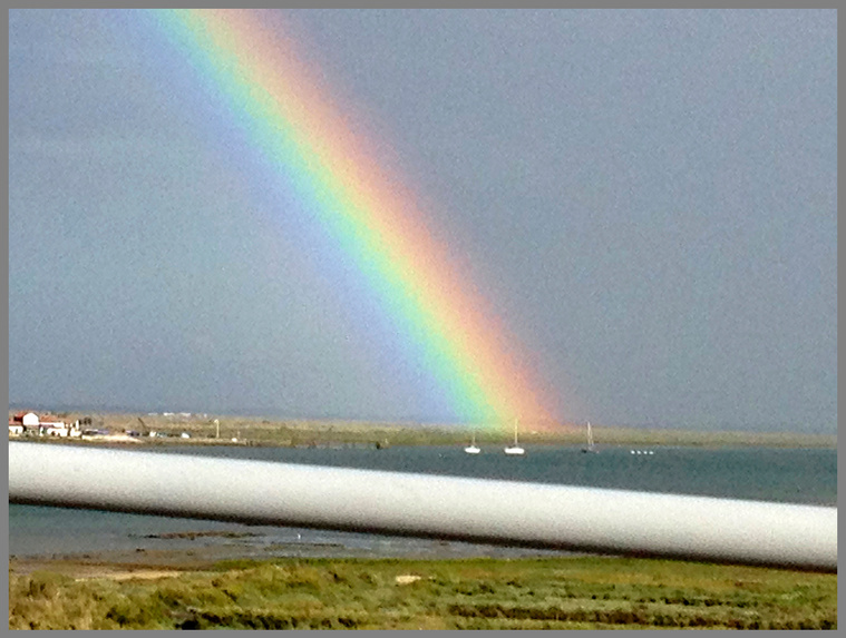 Pascal Hausherr, photographe, e.Storie, estuaire de La Seudre, Charente-maritime, août 2020.