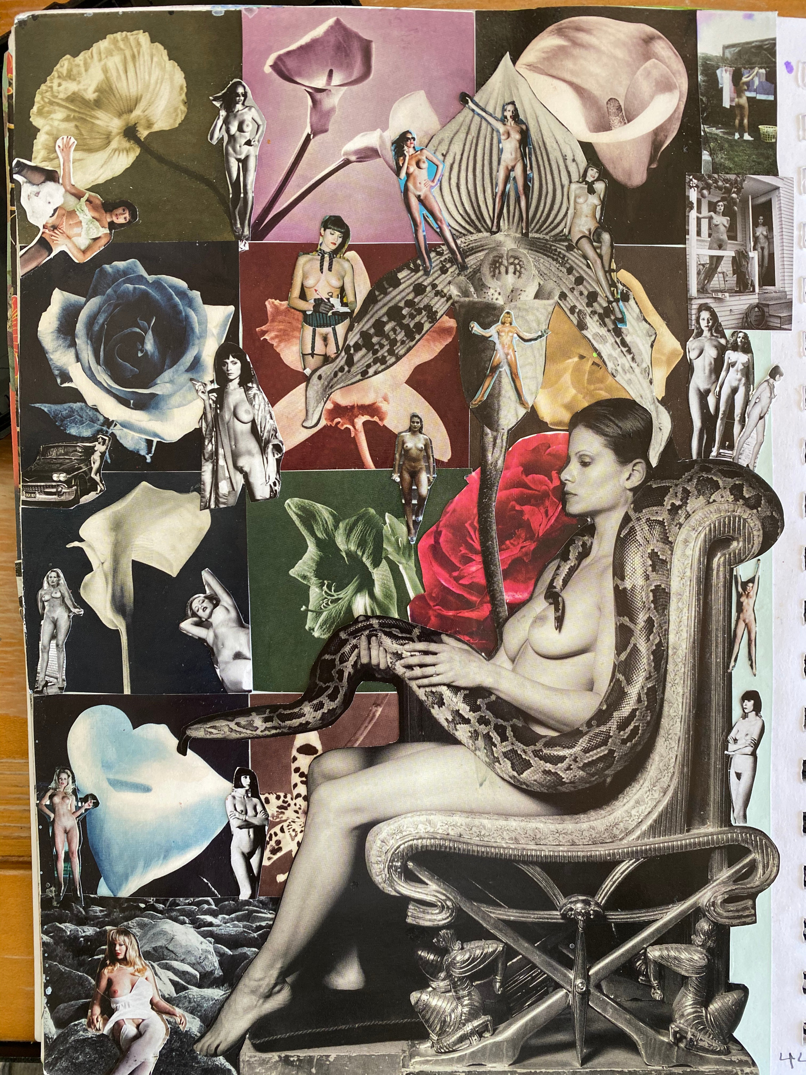 In my freshman year of college, it was online school and Covid year, so I had a lot of time on my hands outside of classes. I decided to create about 10 collage posters to be sold. I sold about 40 posters through my art instagram all together.