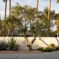 palm springs rancho mirage architecture architectural photography luxury real estate andrew bramasco