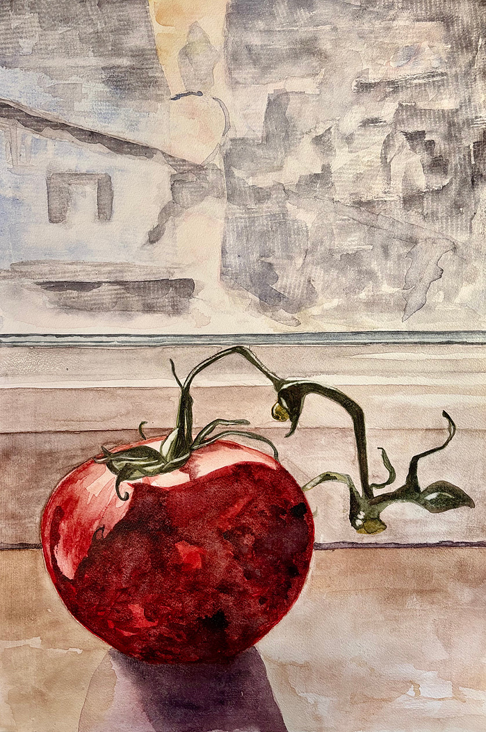 Tomato on Window Sill 2025, watercolor