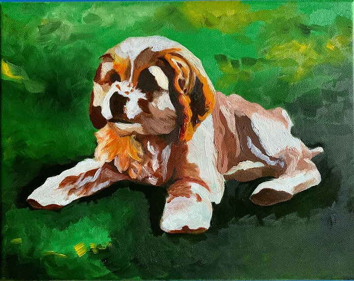 Kyle's puppy 1/2