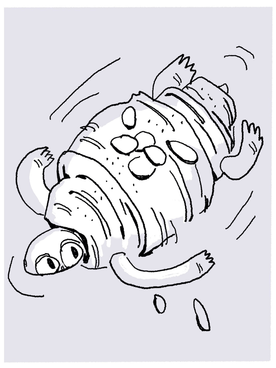 a swimming turtle but with an almond croissant shell