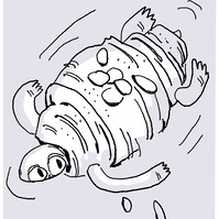 a swimming turtle but with an almond croissant shell