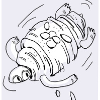 a swimming turtle but with an almond croissant shell