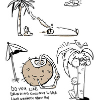 a person laying down under a palm tree while a palm tree leaf is falling down, about to hit the person's head. Below is a coconut drinking coconut water directly from cut that is made on top of its head. below is hand-written text "do you like drinking co