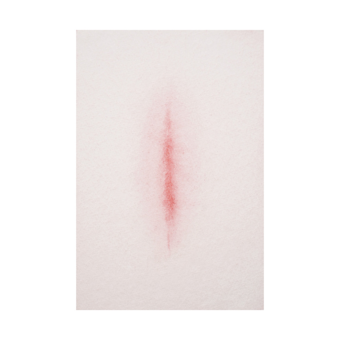 Misha Waks -Contemporary Art - Emerging Artist - New Artist - New Art - Modern Art - Watercolor - Painting - NY Art - Art Basel - Miami Art - Basel Warsaw Art - New York Art - Hamburg Art - London Art - Vagina @mishawaks