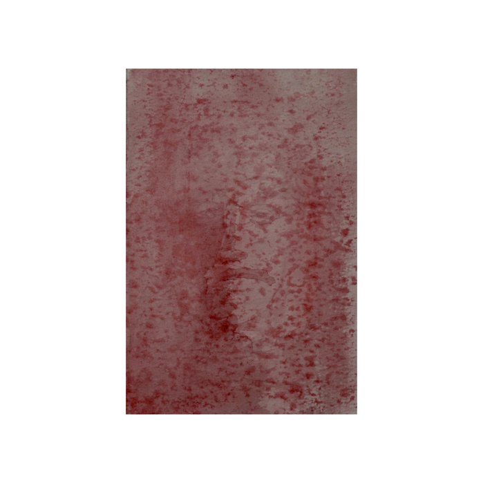 Misha Waks -Contemporary Art - Emerging Artist - New Artist - New Art - Modern Art - Watercolor - Painting - NY Art - Art Basel - Miami Art - Basel Warsaw Art - New York Art - Hamburg Art - London Art - Birtch @mishawaks