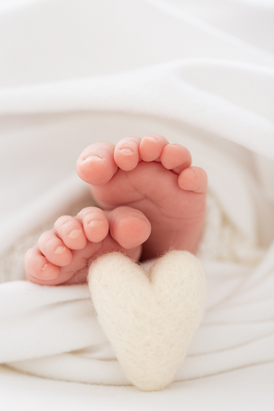 what to expect at a newborn photography photoshoot session