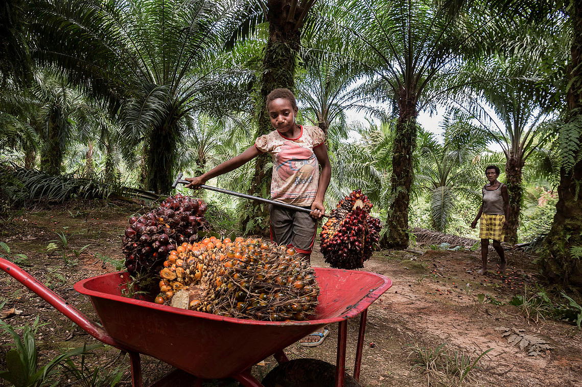 Boven Digul, Papua, Indonesia, 2019. Samela, 10, never went to school and works in an oil palm plantation with her grandmother.