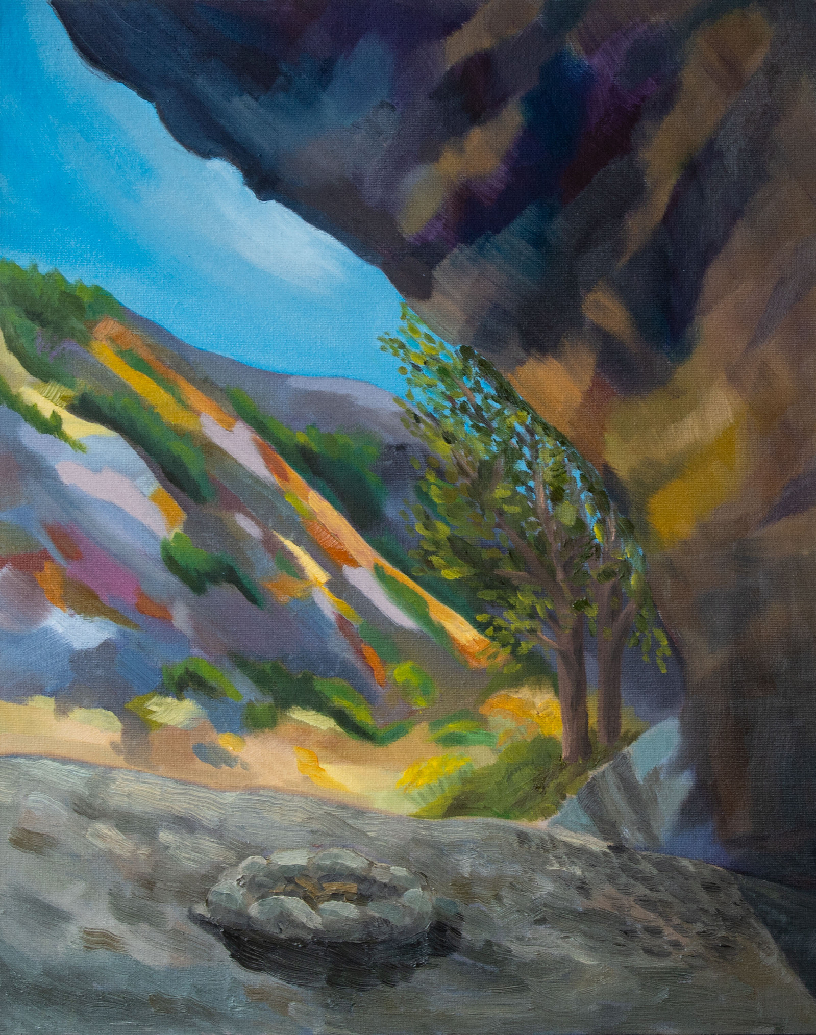 Cave view of green canyon with empty fire pit