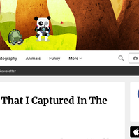 screen shot of bored panda website header