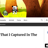 screen shot of bored panda website header