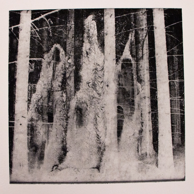 The Spirit of the Forest, Photopolymer Print, Hahnemuehle paper, 2021