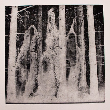 The Spirit of the Forest, Photopolymer Print, Hahnemuehle paper, 2021