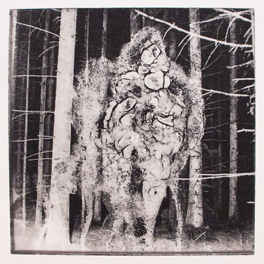 The Spirit of the Forest, Photopolymer Print, Hahnemuehle paper, 2021