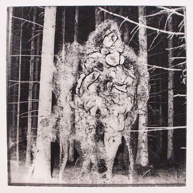 The Spirit of the Forest, Photopolymer Print, Hahnemuehle paper, 2021
