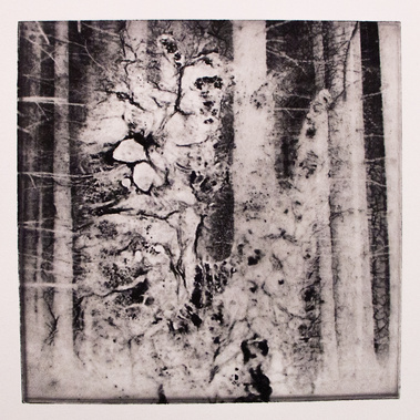The Spirit of the Forest, Photopolymer Print, Hahnemuehle paper, 2021