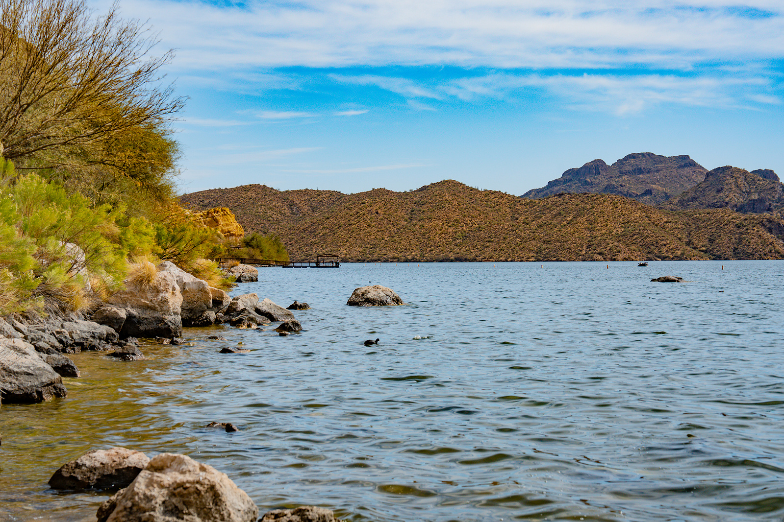 Tranquil desert cove along the edge of Saguaro Lake with scattered cacti and reflections.