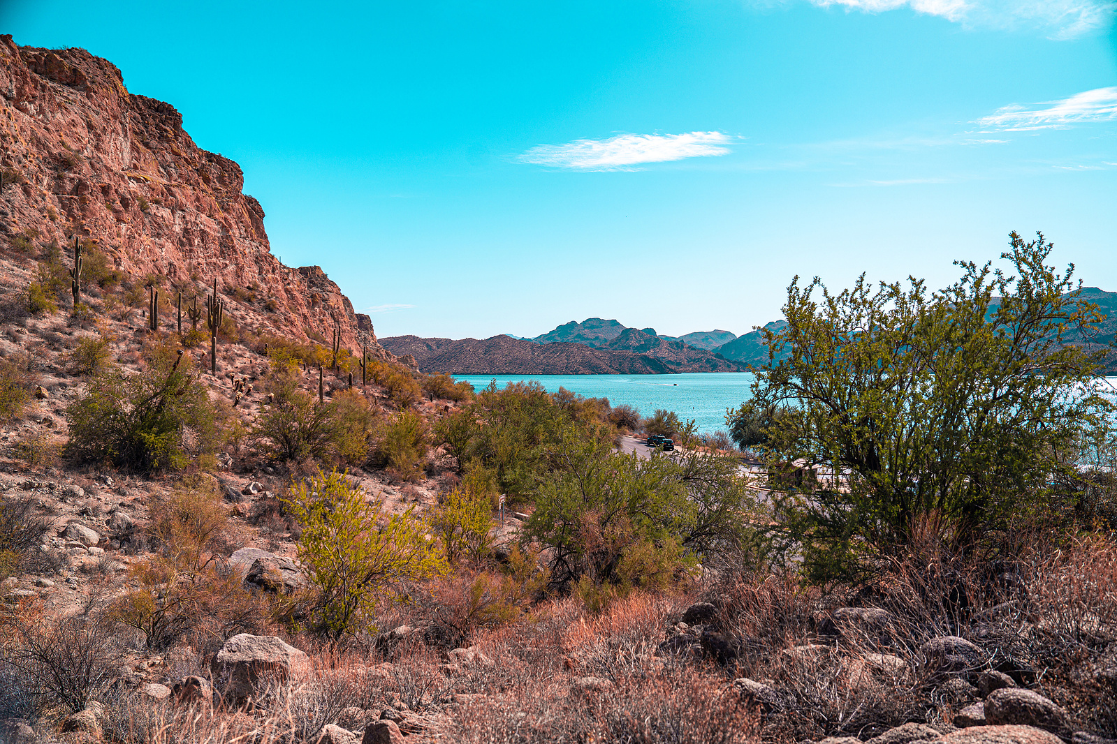Rocky desert trail with saguaro cactus and rugged Arizona terrain under a vibrant sky.