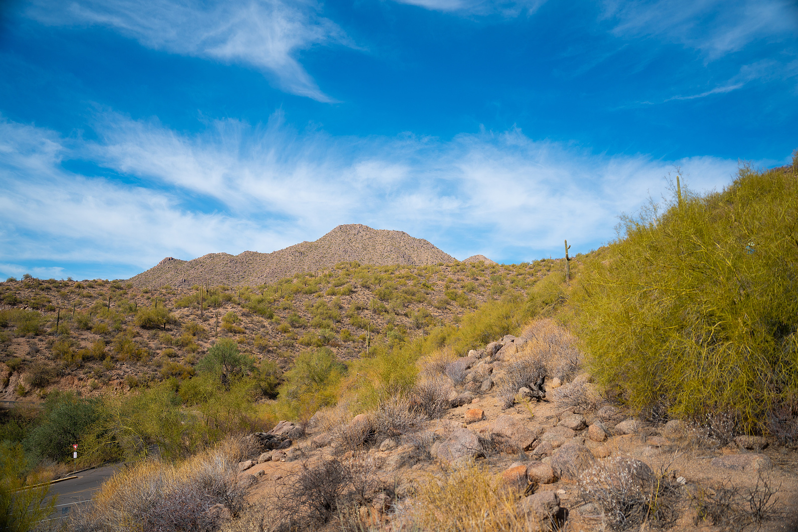 Desert hillside covered in green brush beneath a blue sky at Saguaro Lake, Arizona.