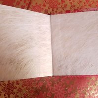 Inside back cover of the book now covered in a shiny golden card endpaper which has white wispy threads all over it.