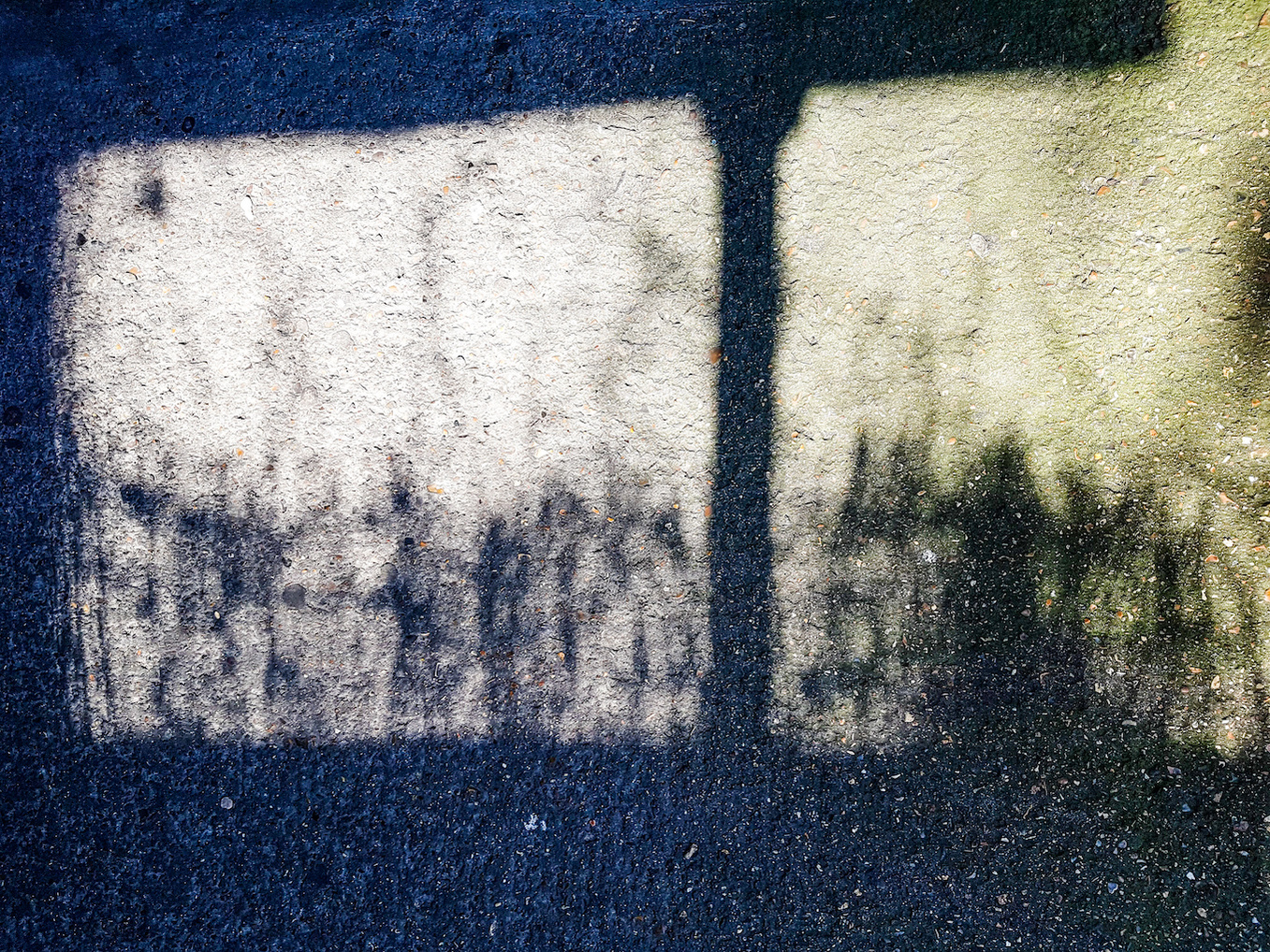 A shadow on the ground - unclear from the photo, but it is the entrance to our flat, with the shadow of a neighbour's fence running along the bottom half of the image.