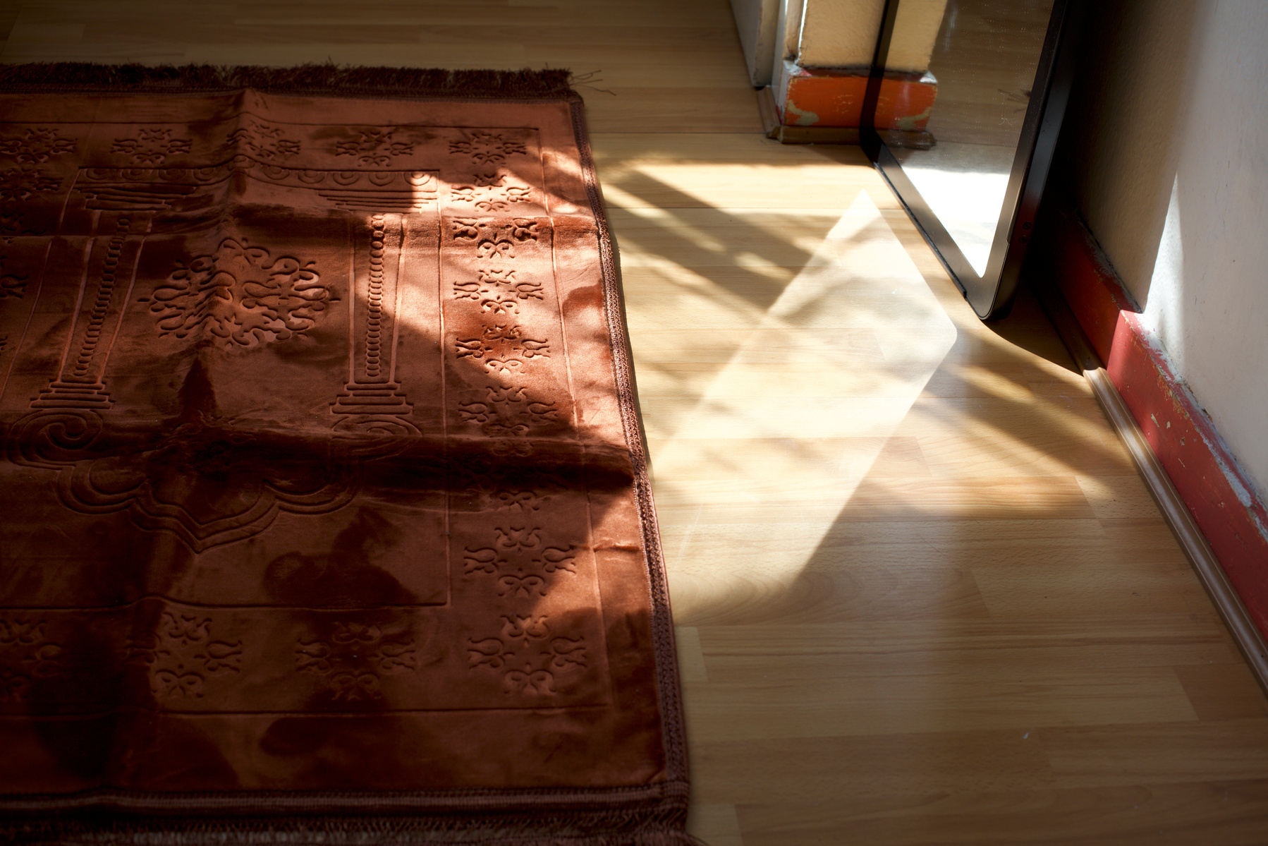 A rich brown rug on a light laminate floor, the rug's right edge almost bisects the image.  In the top right corner, the bottom of a mirror can be seen; it reflects sunlight from above onto the floor and rug.