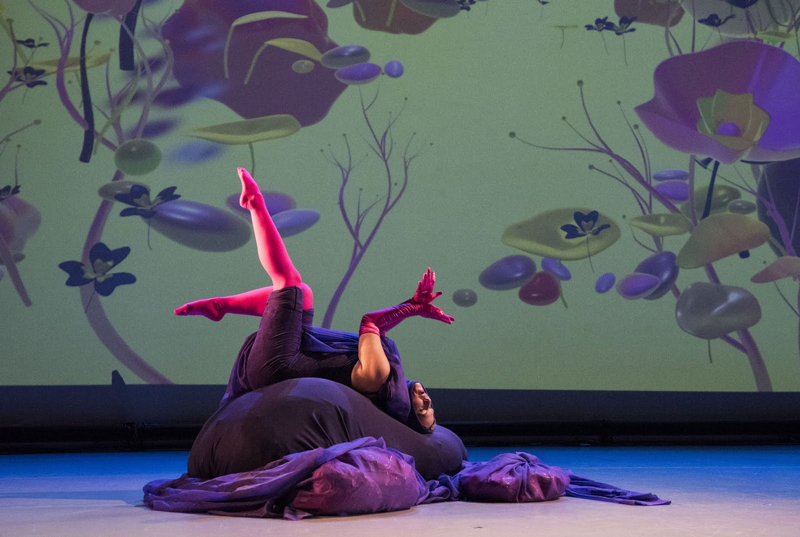 Dance, Toronto Dance Theatre performance, shimmer of a petal now a mountain stream, Diana Lynn VanderMeulen. Experimental animation. Digital Artwork. Otherworldly landscape. ArtGate VR, Sky Fine Foods Gallery. 