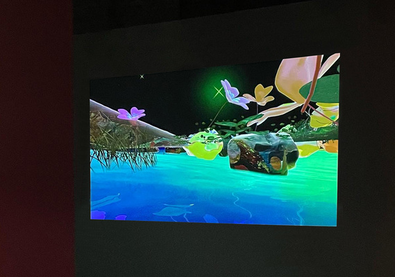 Diana Lynn VanderMeulen a Boundless and Radiant Aura. Installed for PIQUE at SAW Gallery. Cosmic formations, Plants, 3D artwork. Made with Unity. 