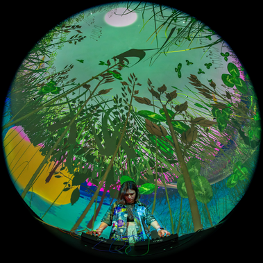 Diana Lynn VanderMeulen immersive dome with musical performance by Stefana Fratila. Cosmic formations, Plants, 3D artwork. Made with Unity. 
