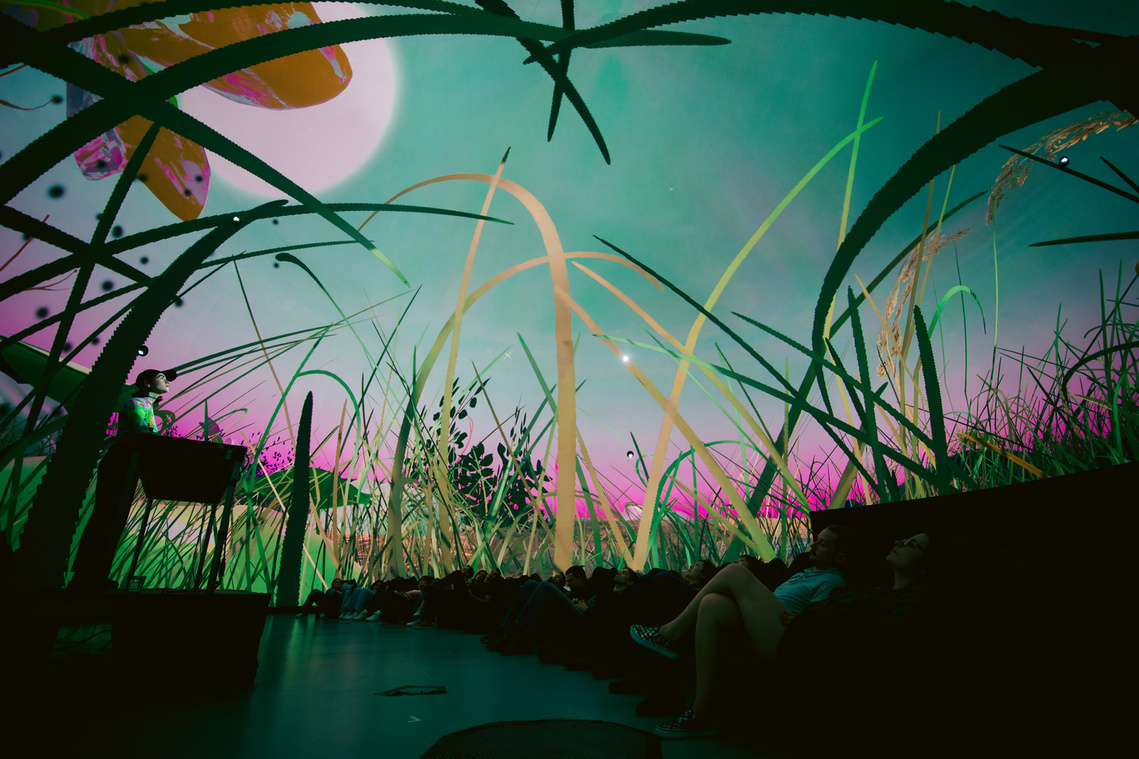Diana Lynn VanderMeulen immersive dome artwork. MUTEK x SAT 2023. Society for arts and technology. Musical performance by Stefana Fratila. Cosmic formations, Plants, 3D artwork. Made with Unity. XR AR VR. 