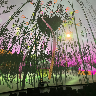 Diana Lynn VanderMeulen immersive dome artist residency, Society for Arts and Technology. SAT. Cosmic formations, Plants, 3D artwork. Made with Unity. 