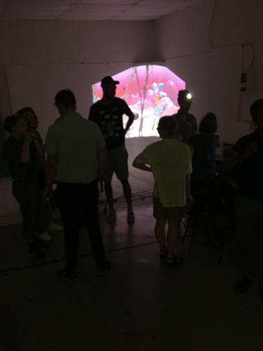 Swampy GoGo Digital artwork, Magic Window, XR, Interactive worlds. Diana Lynn VanderMeulen