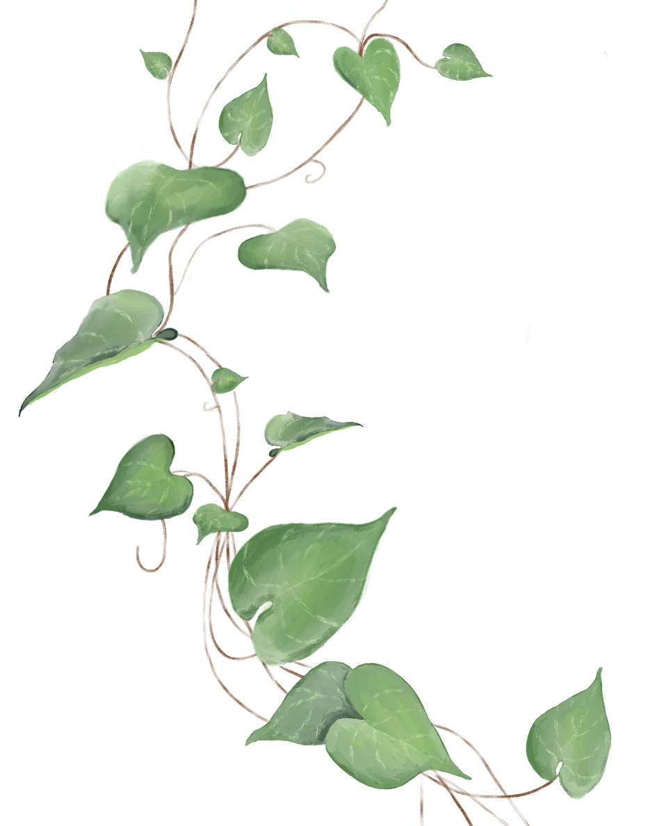 Ivy Portraits