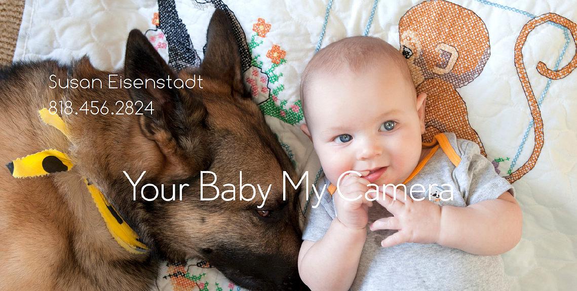 Baby lying down with German Shepherd dog.