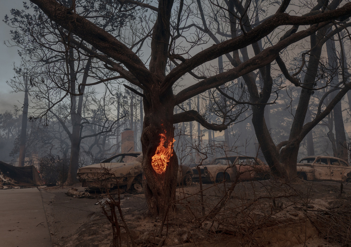 Eaton Fire, Altadena Los Angeles, January 7, 2025