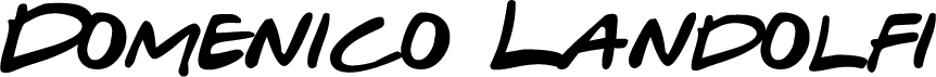 Domenico Landolfi's Portfolio