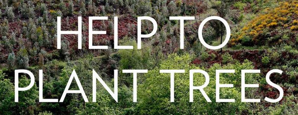 Planting trees, political garden, environmental art, carbon offset, restoration, ecology, Constanze Flamme, Portugal