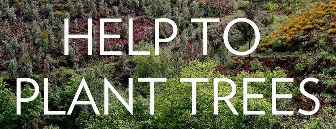 Planting trees, political garden, environmental art, carbon offset, restoration, ecology, Constanze Flamme, Portugal