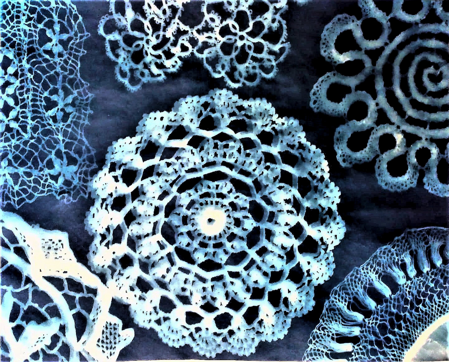 A cynotype made from hand made lace