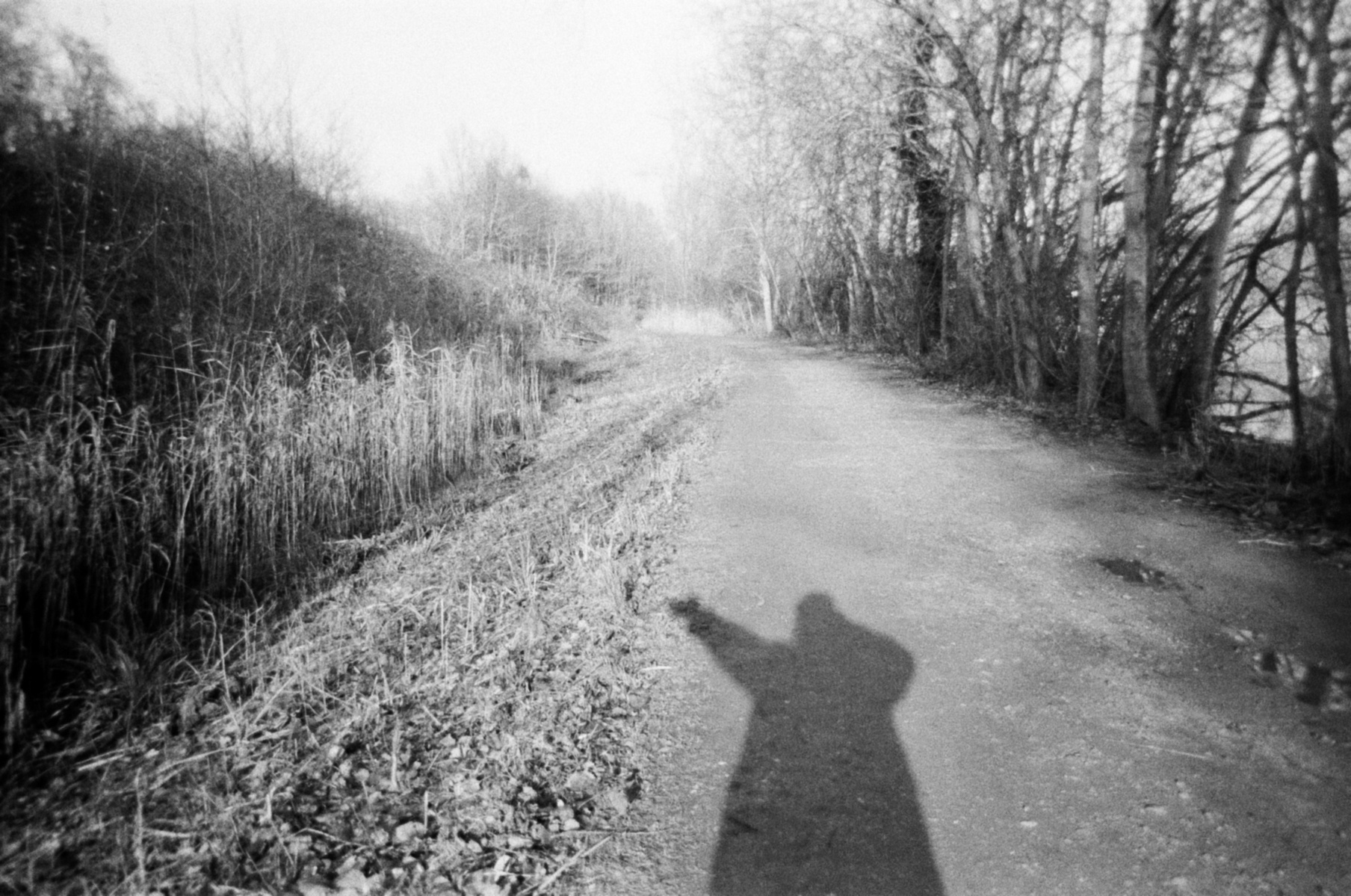 A shadow of a figure in a large jacket points to the left of the image on a wooded path