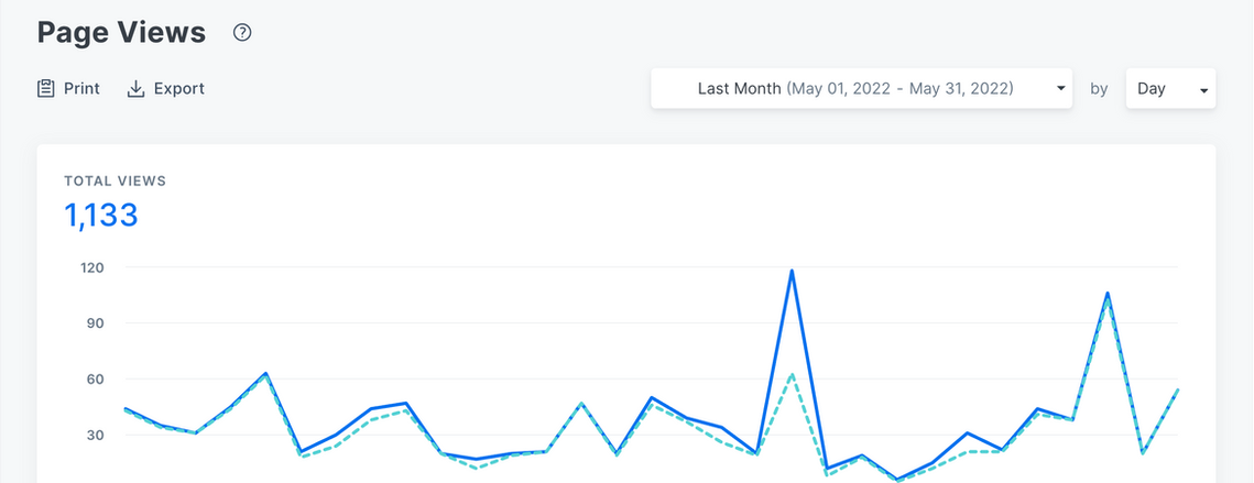 Website Page views after 5 months of launching