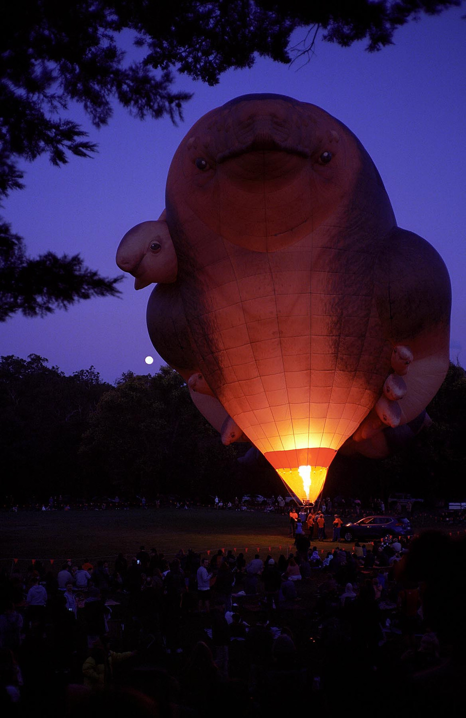 Skywhale Papa, 2022, Leica AF-C1, Kodak Etkar 100