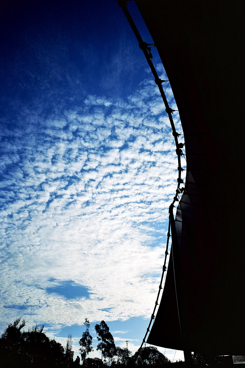 Myer Music Bowl, 2008, Ricoh GR1s, Kodak Etkar 100
